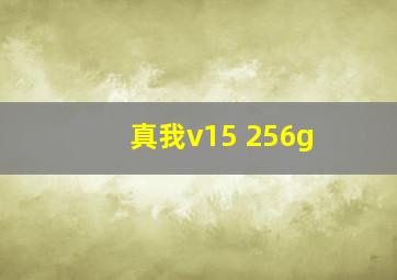 真我v15 256g