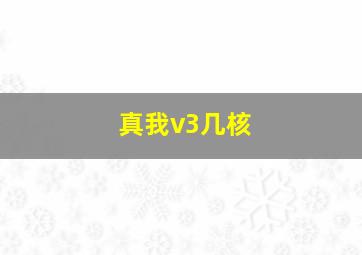 真我v3几核