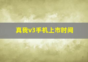 真我v3手机上市时间