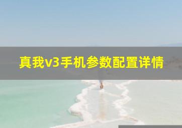 真我v3手机参数配置详情