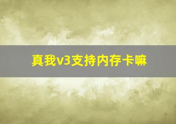 真我v3支持内存卡嘛