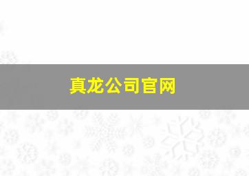 真龙公司官网