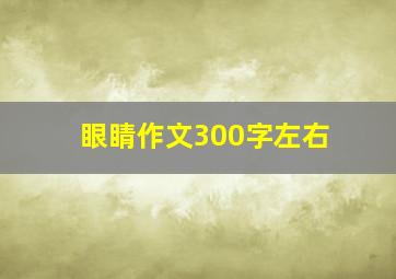 眼睛作文300字左右