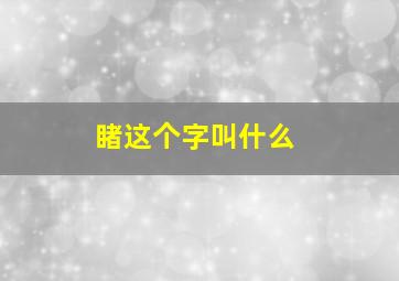 睹这个字叫什么