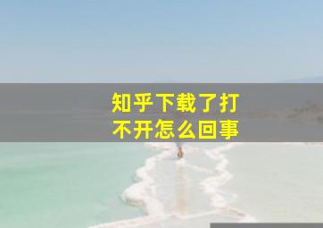 知乎下载了打不开怎么回事