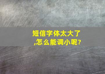 短信字体太大了,怎么能调小呢?