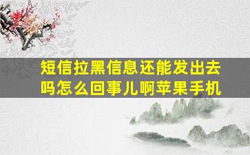 短信拉黑信息还能发出去吗怎么回事儿啊苹果手机