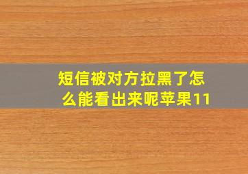 短信被对方拉黑了怎么能看出来呢苹果11