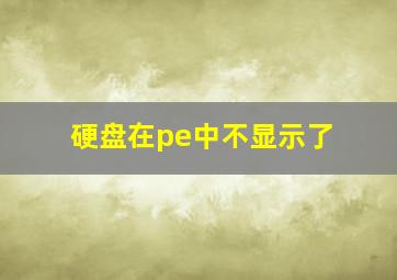 硬盘在pe中不显示了