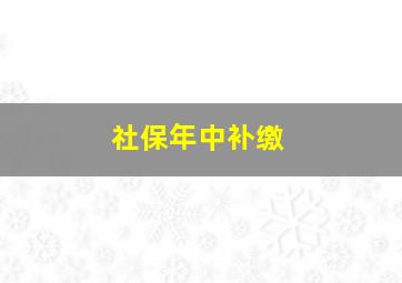 社保年中补缴