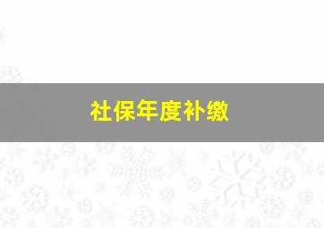 社保年度补缴