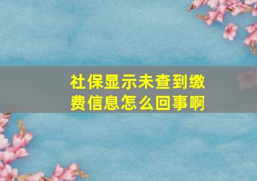 社保显示未查到缴费信息怎么回事啊