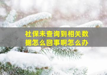 社保未查询到相关数据怎么回事啊怎么办