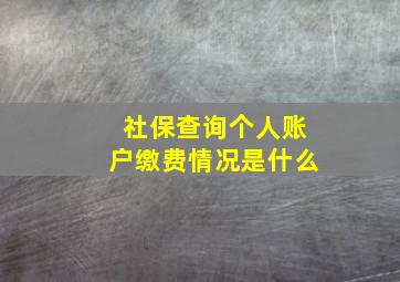 社保查询个人账户缴费情况是什么