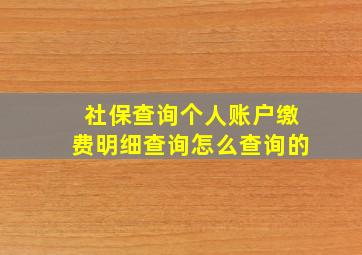 社保查询个人账户缴费明细查询怎么查询的