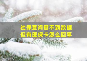 社保查询查不到数据但有医保卡怎么回事