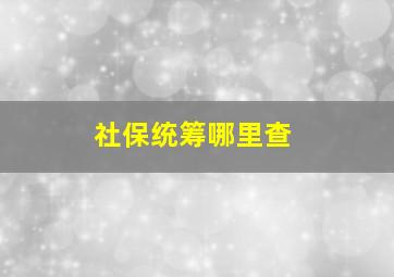 社保统筹哪里查