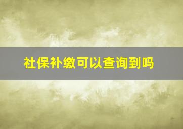 社保补缴可以查询到吗