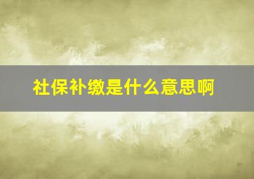 社保补缴是什么意思啊