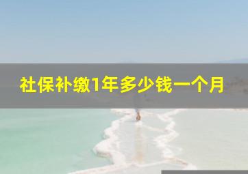 社保补缴1年多少钱一个月