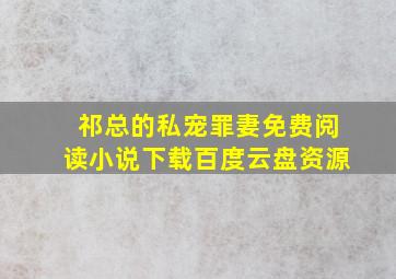 祁总的私宠罪妻免费阅读小说下载百度云盘资源