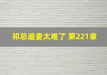 祁总追妻太难了 第221章