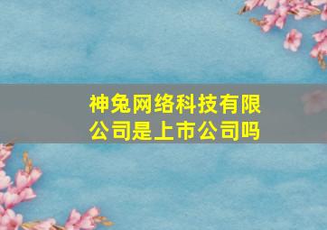 神兔网络科技有限公司是上市公司吗