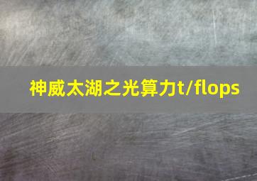 神威太湖之光算力t/flops