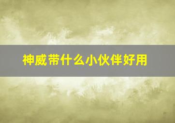 神威带什么小伙伴好用