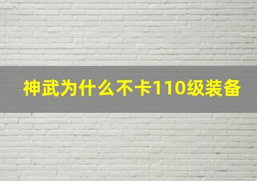 神武为什么不卡110级装备