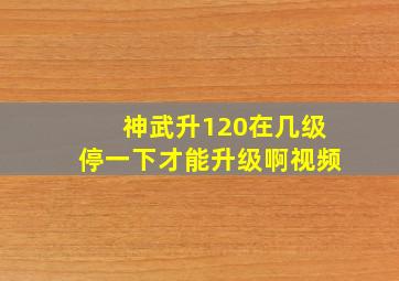 神武升120在几级停一下才能升级啊视频