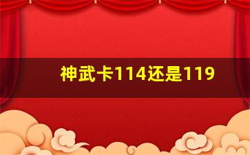 神武卡114还是119