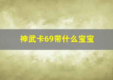 神武卡69带什么宝宝