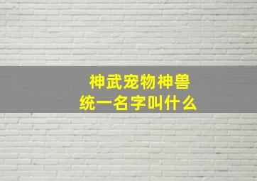 神武宠物神兽统一名字叫什么