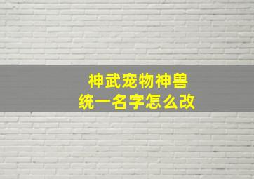 神武宠物神兽统一名字怎么改