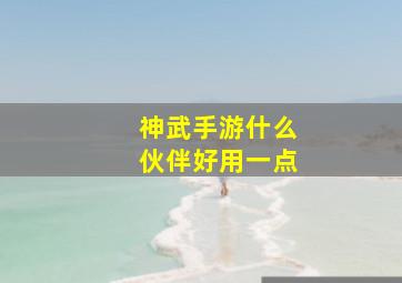 神武手游什么伙伴好用一点