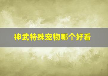 神武特殊宠物哪个好看