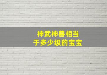 神武神兽相当于多少级的宝宝