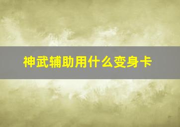 神武辅助用什么变身卡