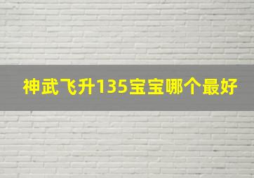 神武飞升135宝宝哪个最好