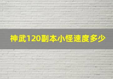 神武120副本小怪速度多少