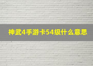 神武4手游卡54级什么意思