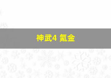 神武4 氪金