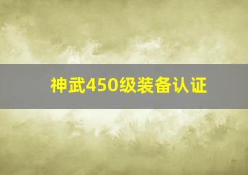 神武450级装备认证