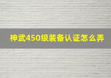 神武450级装备认证怎么弄