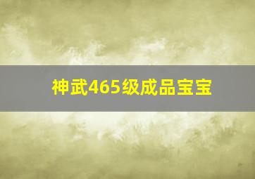 神武465级成品宝宝