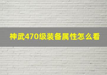 神武470级装备属性怎么看