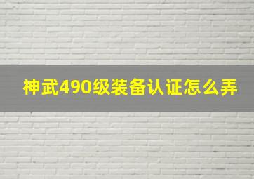 神武490级装备认证怎么弄