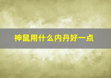 神鼠用什么内丹好一点