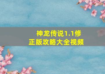 神龙传说1.1修正版攻略大全视频